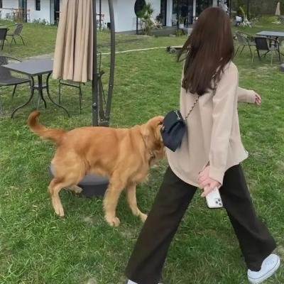 石榴裙下海报