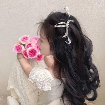 罗马之战1海报