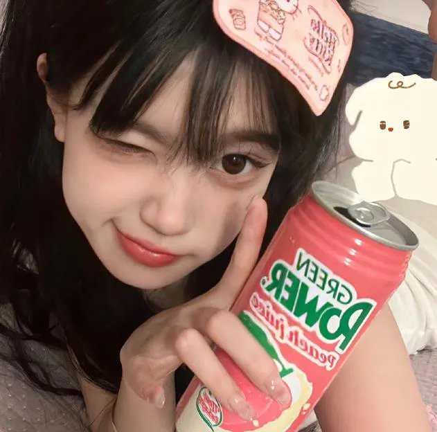 少女十五十六时海报